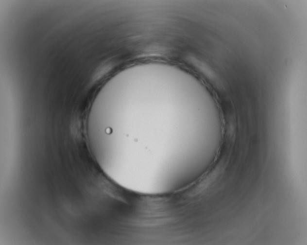 X0000114151258200910081326