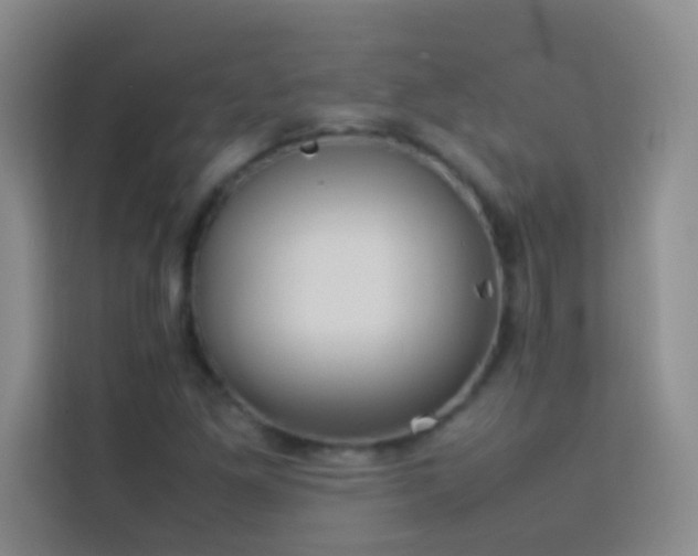 X0000114151261200910081326