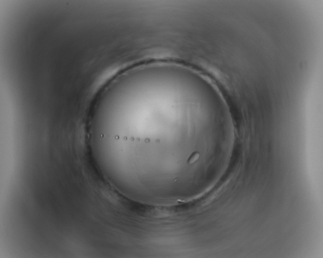 X0000114151263200910081326