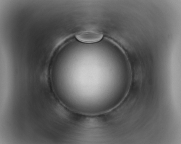 X0000114151264200910081326