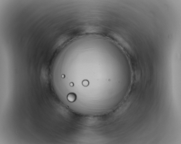X0000114151266200910081326