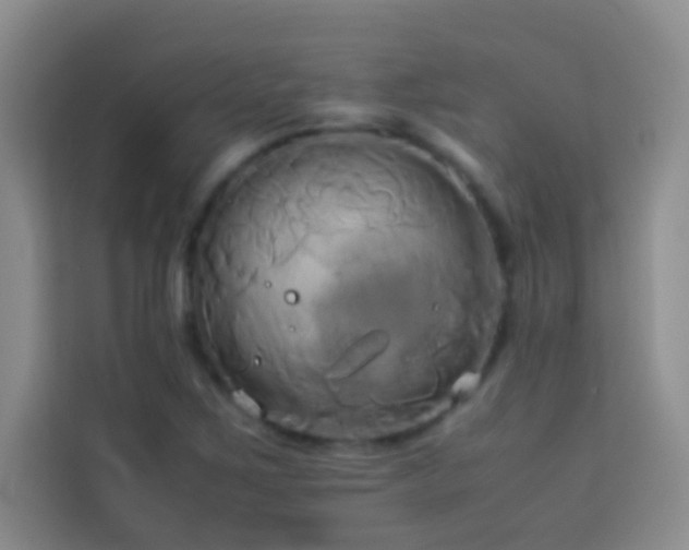 X0000114151267200910081326
