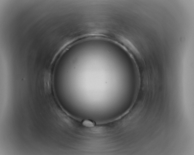 X0000114151268200910081326