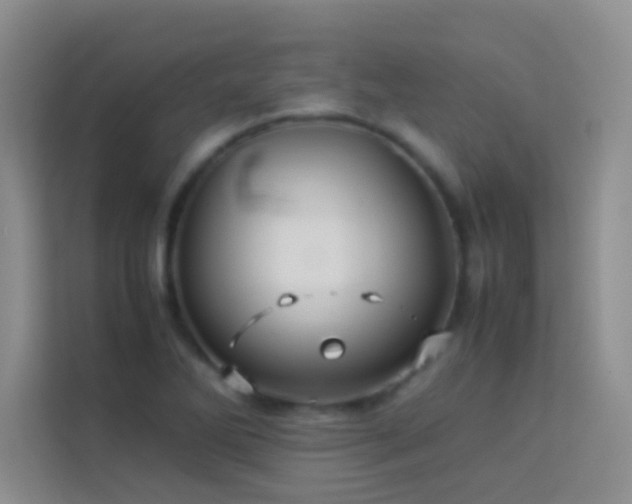 X0000114151270200910081326