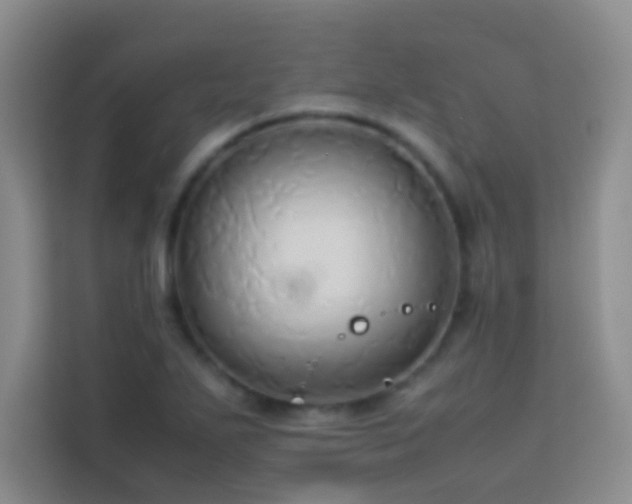 X0000114151271200910081326