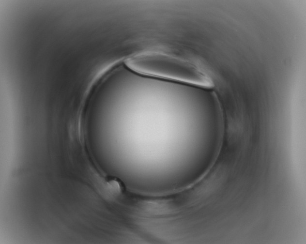X0000114151272200910081326