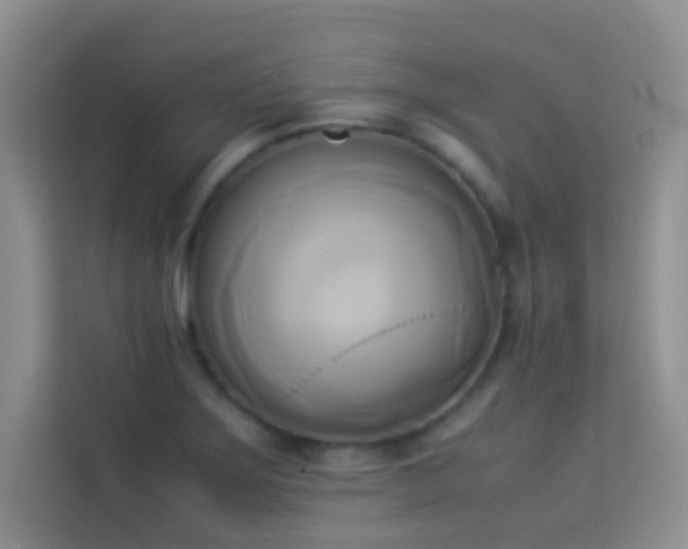 X0000114151275200910081326