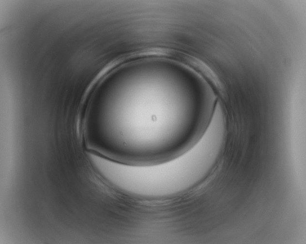 X0000114151276200910081325