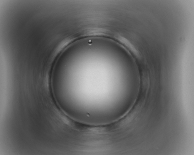 X0000114151277200910081325