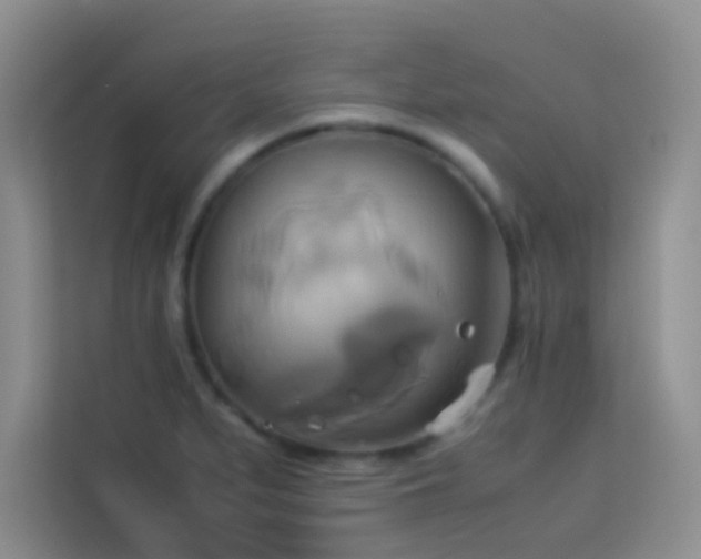 X0000114151279200910081325
