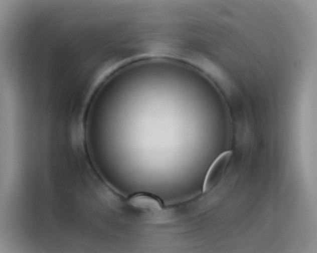 X0000114151280200910081325