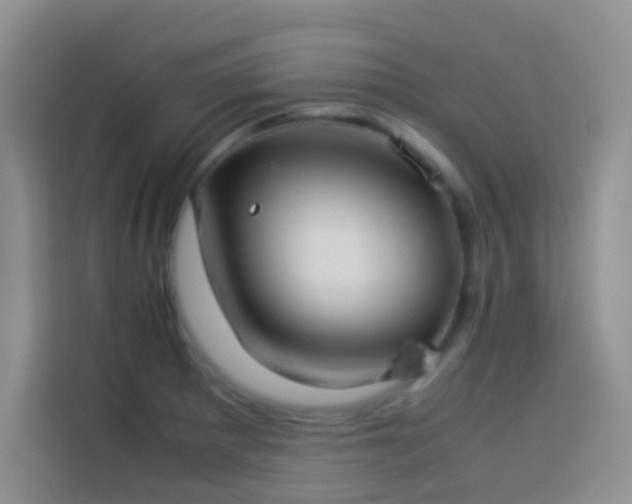 X0000114151281200910081325