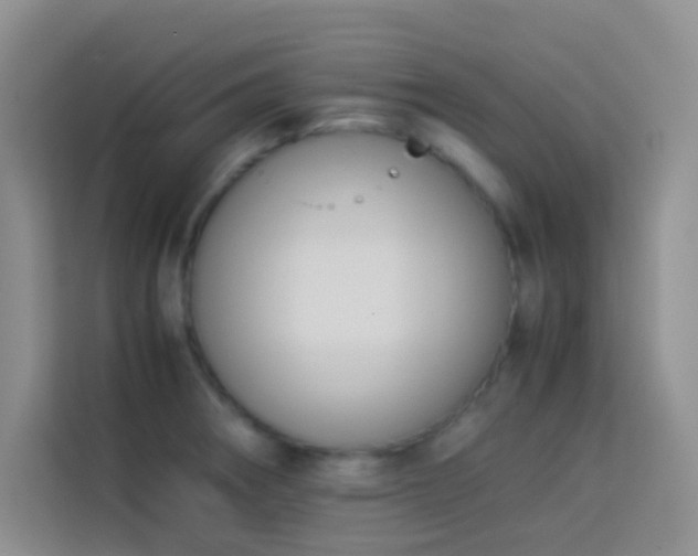 X0000114151282200910081325