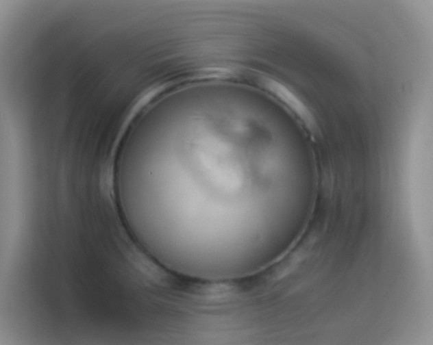 X0000114151283200910081325