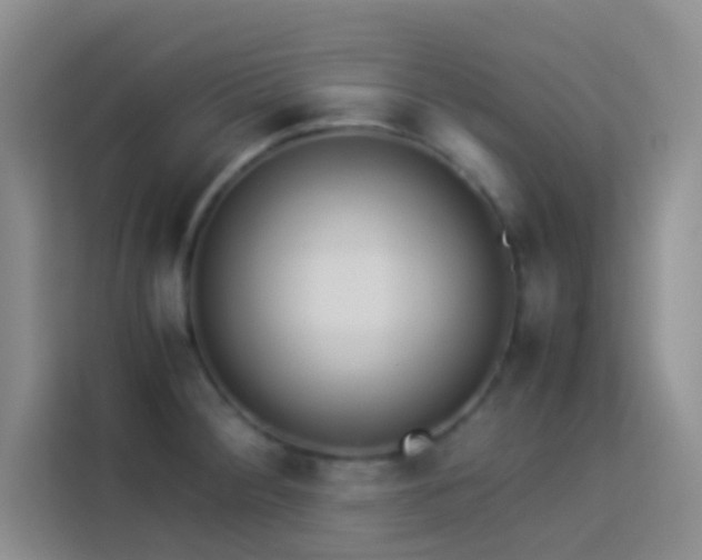 X0000114151284200910081325