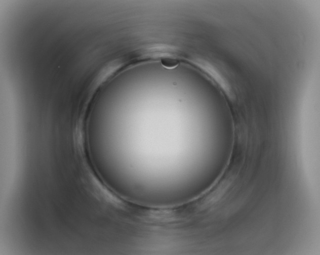 X0000114151285200910081325