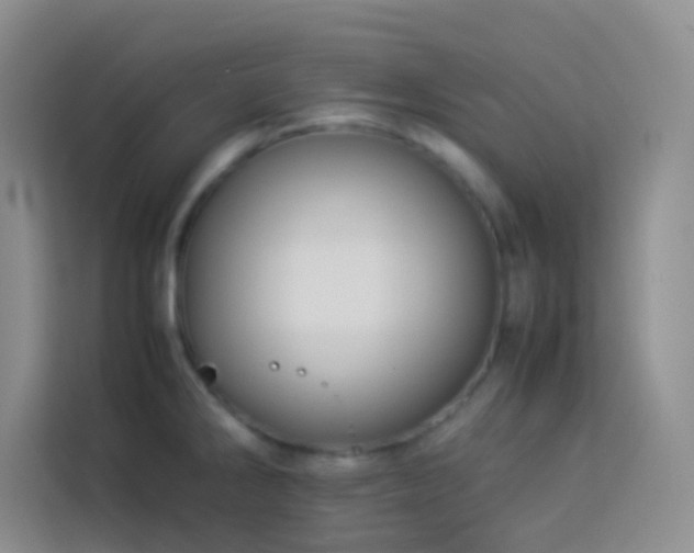 X0000114151286200910081325
