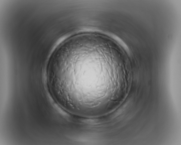 X0000114151287200910081325