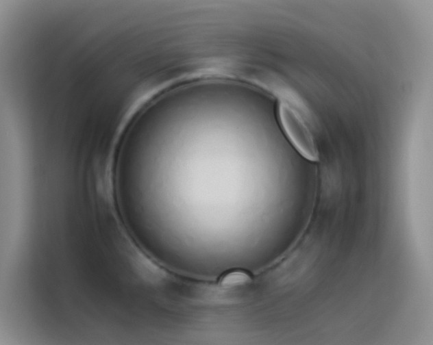 X0000114151288200910081325