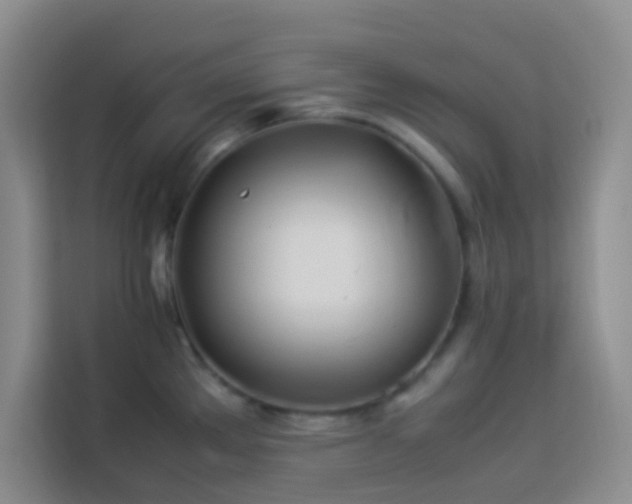 X0000114151289200910081325
