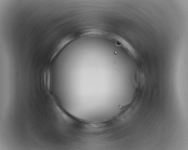 X0000114151290200910081325