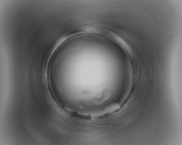 X0000114151291200910081325