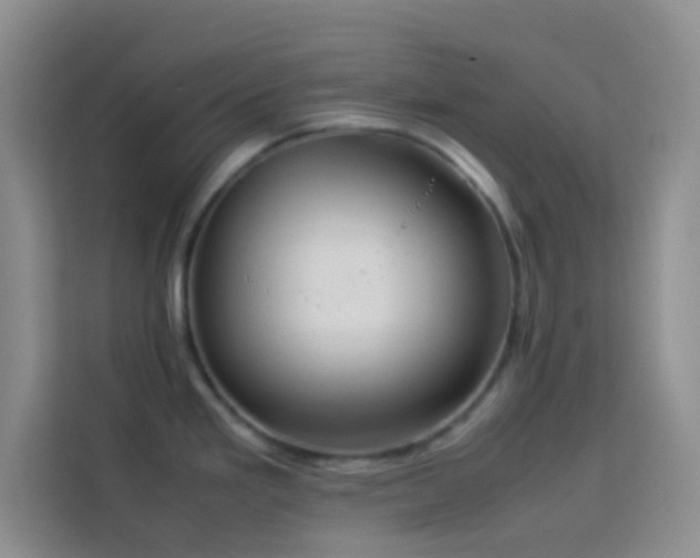 X0000114151293200910081325