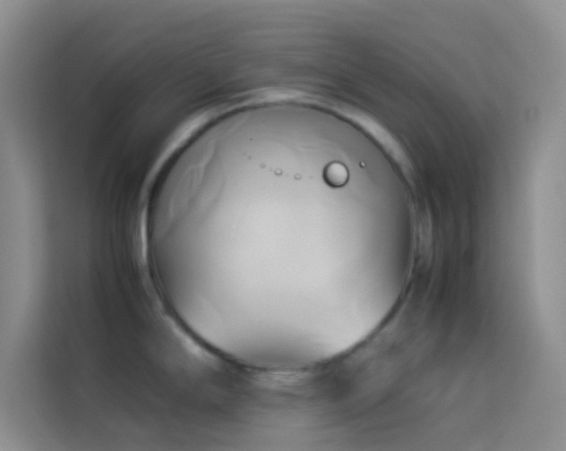 X0000114151294200910081325