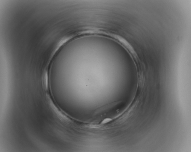 X0000114151295200910081325