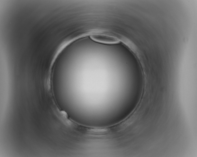 X0000114151296200910081325