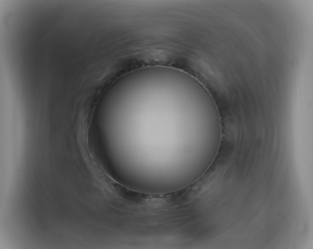 X0000114151297200910081325