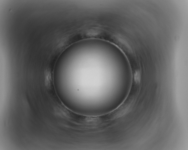 X0000114151299200910081325