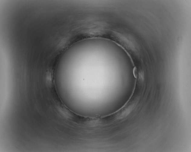 X0000114151300200910081325
