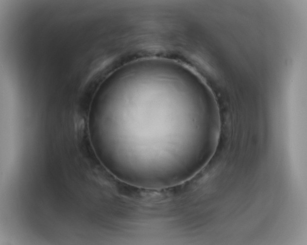 X0000114151302200910081325