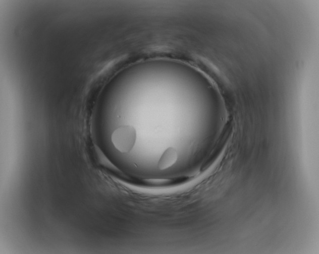 X0000114151303200910081325