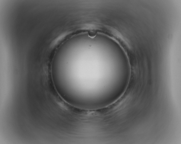 X0000114151304200910081325