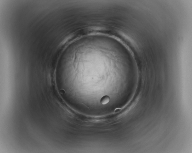 X0000114151305200910081325