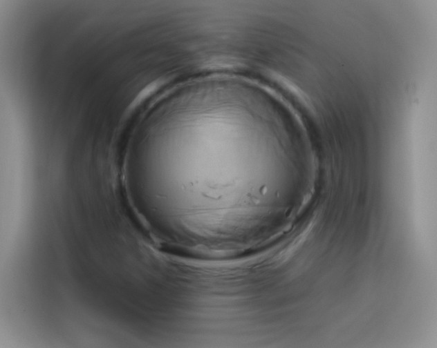 X0000114151306200910081325