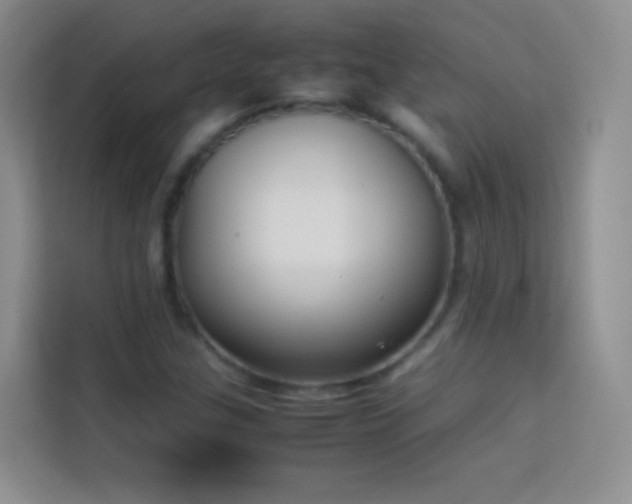 X0000114151307200910081325