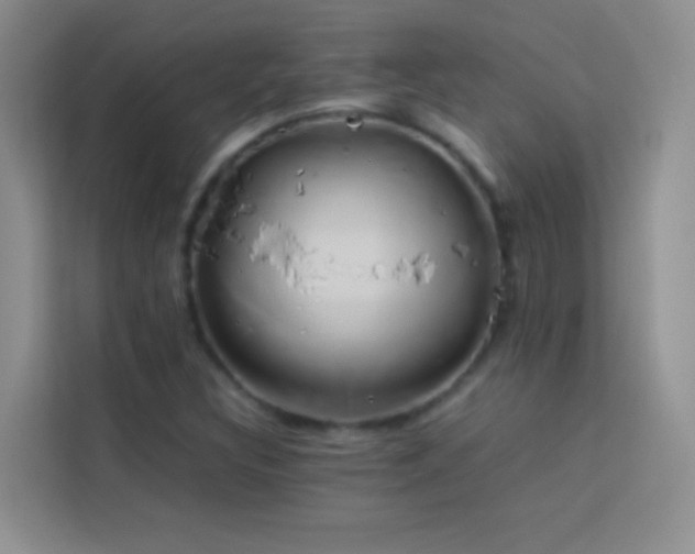 X0000114151308200910081325