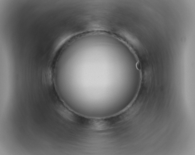 X0000114151310200910081325