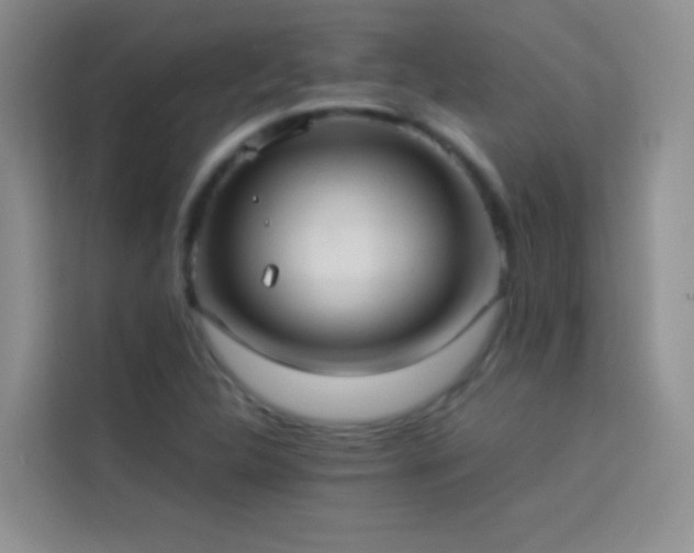 X0000114151312200910081325