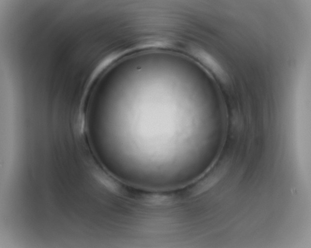 X0000114151324200910081325