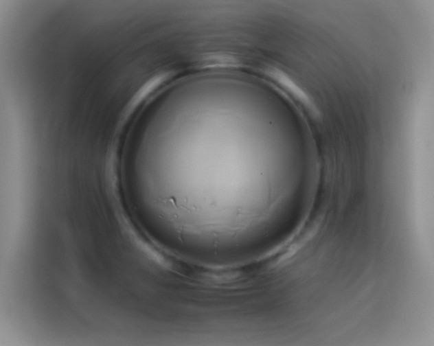 X0000114151325200910081325