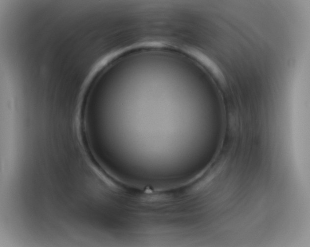 X0000114151327200910081325