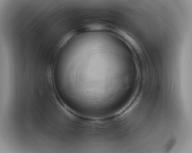 X0000114151329200910081325