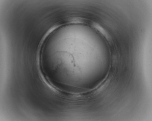 X0000114151331200910081325
