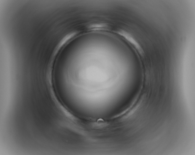 X0000114151333200910081325