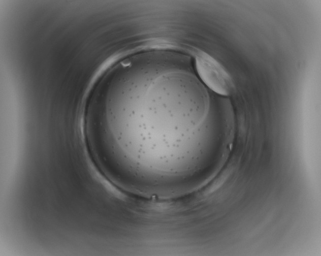 X0000114151334200910081325