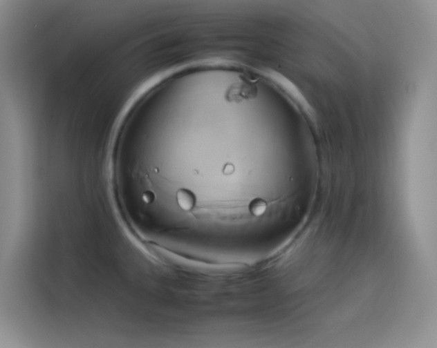X0000114151335200910081325